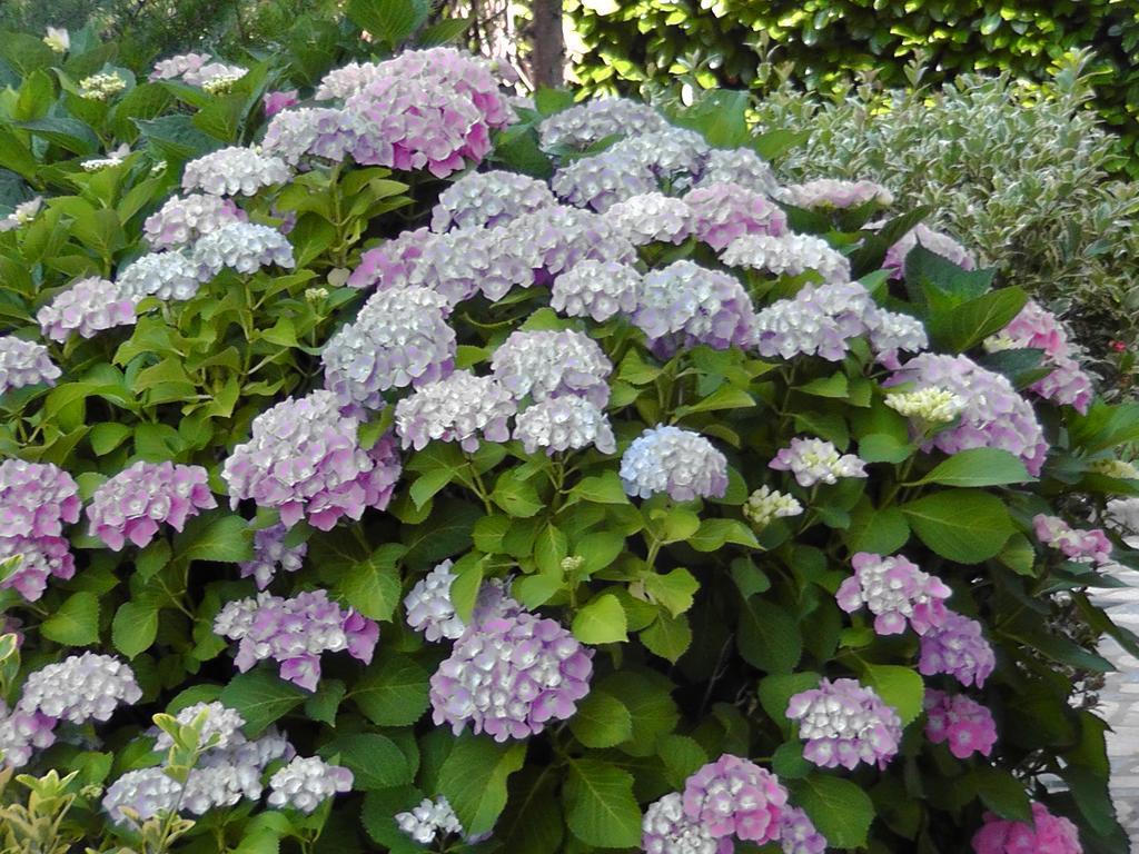 Lägenhet Lavanda 2
